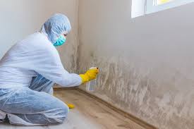 Best Residential Mold Inspection & Testing  in Yuipa, CA