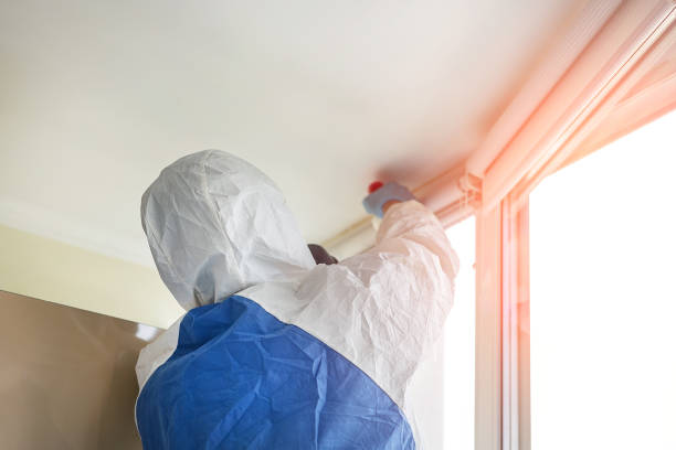 Best Asbestos and Lead Testing During Mold Inspection  in Yuipa, CA